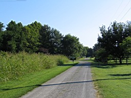 White River in Arkansas 100.jpg